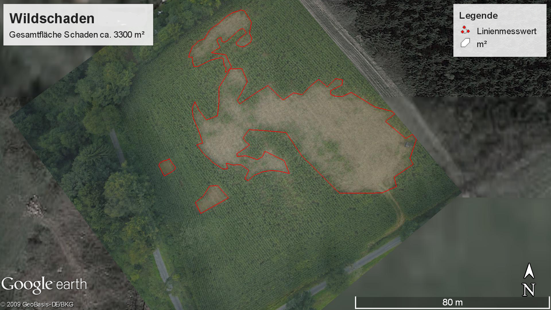 Wildschaden